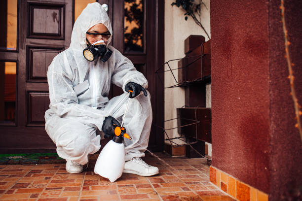 Attic and Crawl Space Rodent Treatment in Brookland