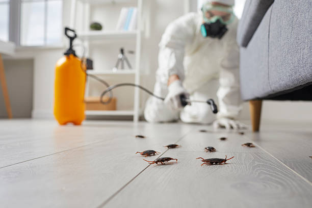 Commercial Rodent Management in Brookland